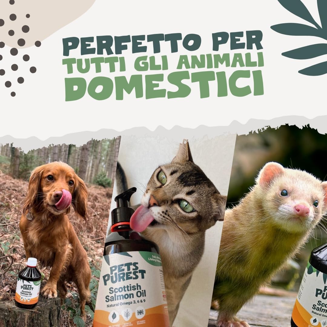Pet Purest Olio di Salmone Scozzese per Cani, Gatti, Animali Domestici 500ml - Puro Olio di Pesce Integratore Alimentare Omega 3 6 9 per Pelo, Sistema Immunitario, Prurito, Articolazioni, Cervello