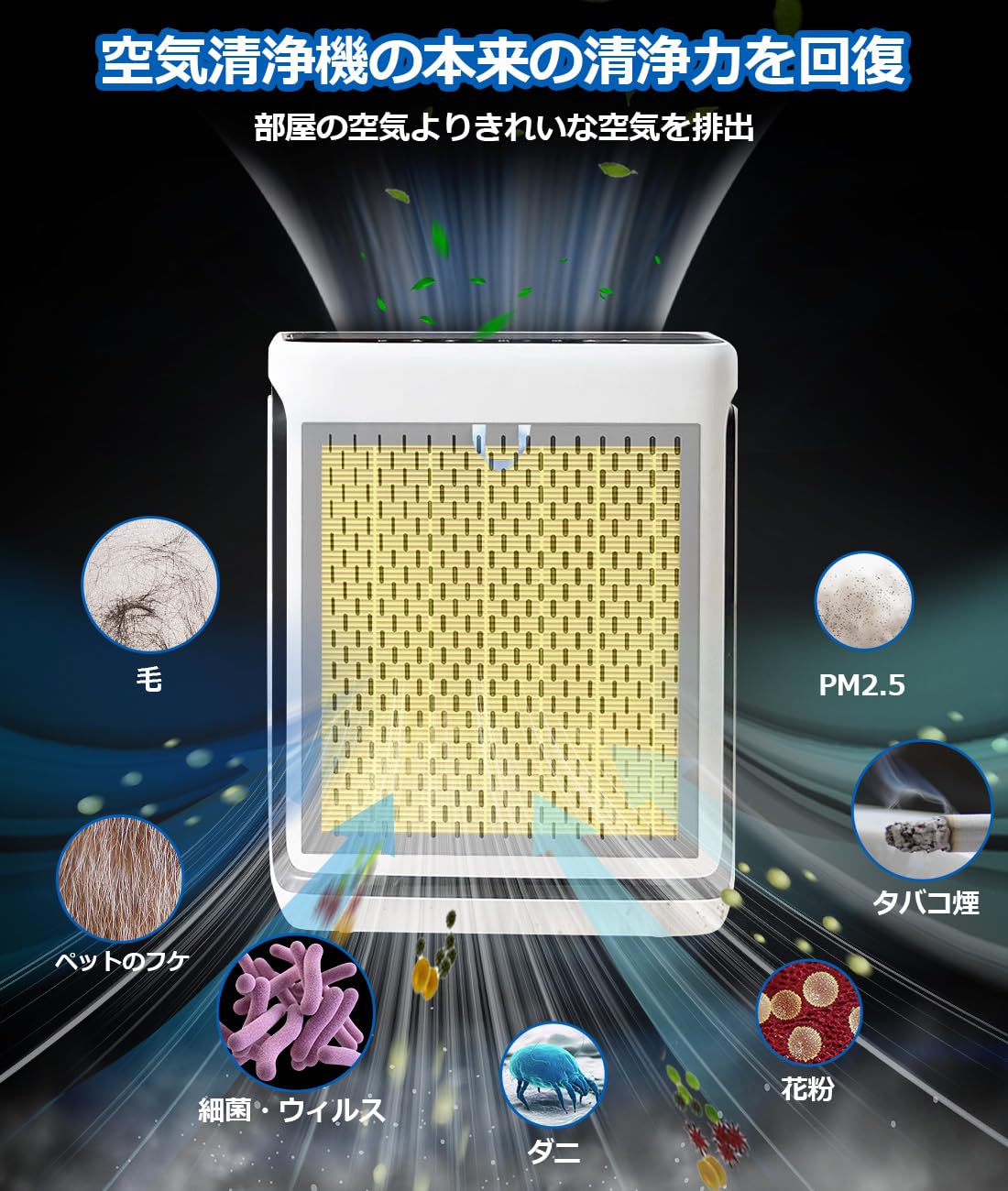 Amazon.co.jp: Vital 100S 空気清浄機 フィルター ペットアレルギー