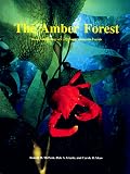 Amber Forest: Beauty and Biology of California's Submarine Forests