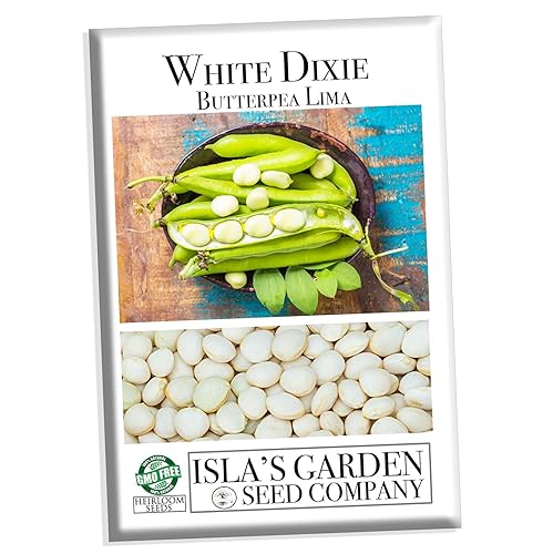 White Dixie Butterpea Lima Bush Semillas de frijol para plantar, más de 25 semillas de reliquia por paquete, semillas de jardín de Isla (semillas de