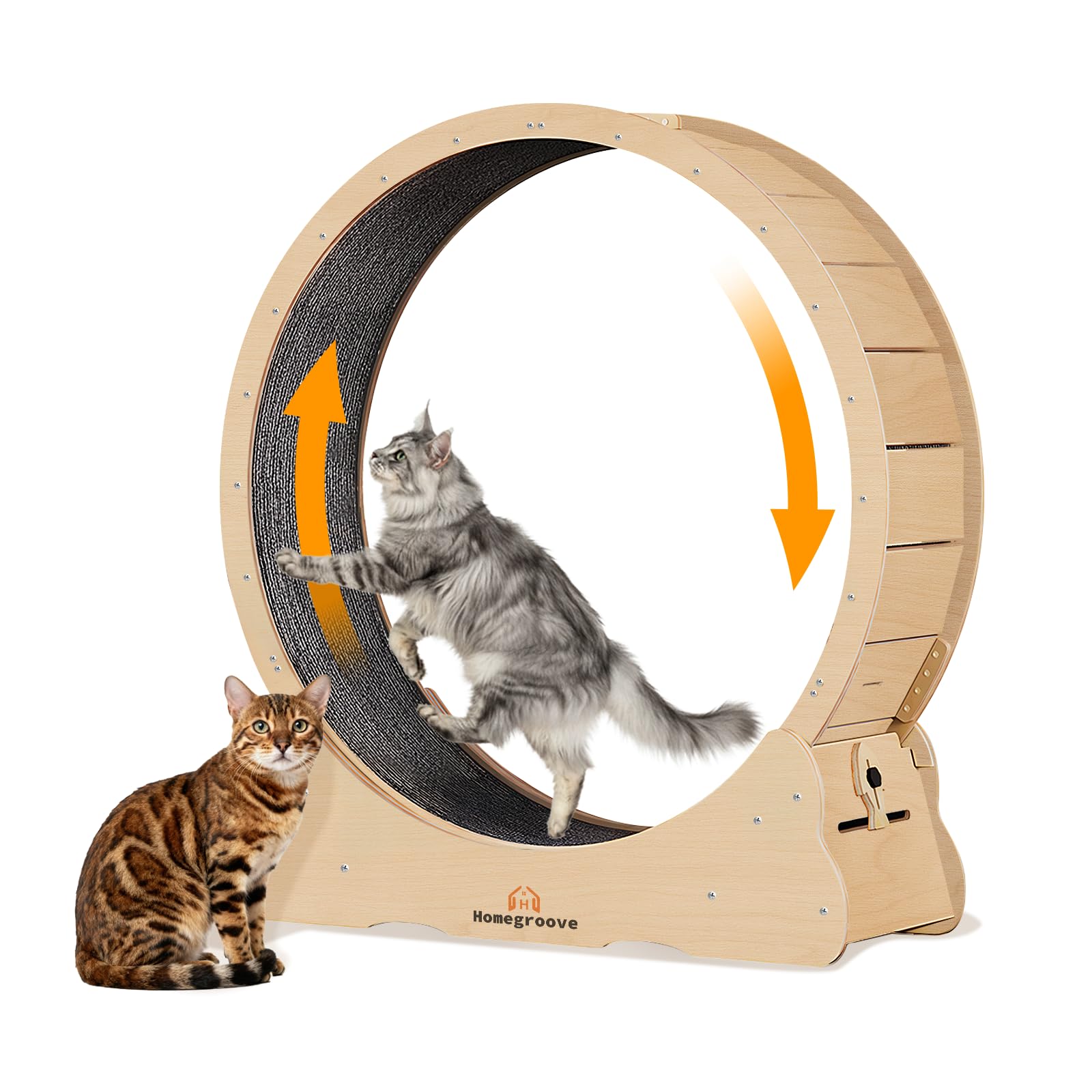 Photo 1 of Homegroove XXXL Giant Cat Wheel, 59"/150cm Extra Large Cat Exercise Wheel for Maine Coon & Large Cats - Spinal Alignment Design, Solid Wood Cat Treadmill with Safety Lock & Anti-Pinch Gap