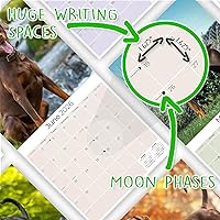 Vista 899 de Razas de Perros 2017