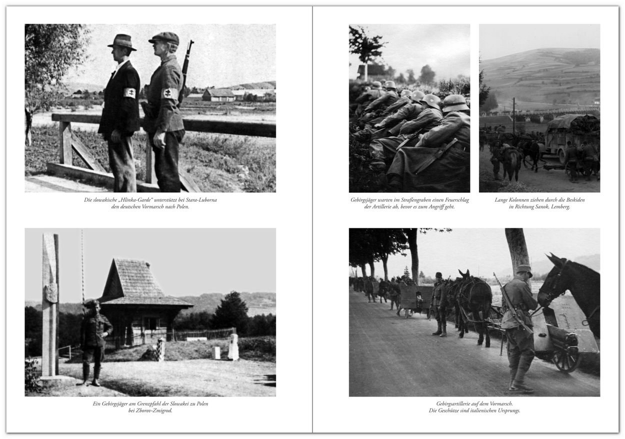 Deutsche Gebirgsjäger im Zweiten Weltkrieg (Flechsig - Geschichte/Zeitgeschichte)