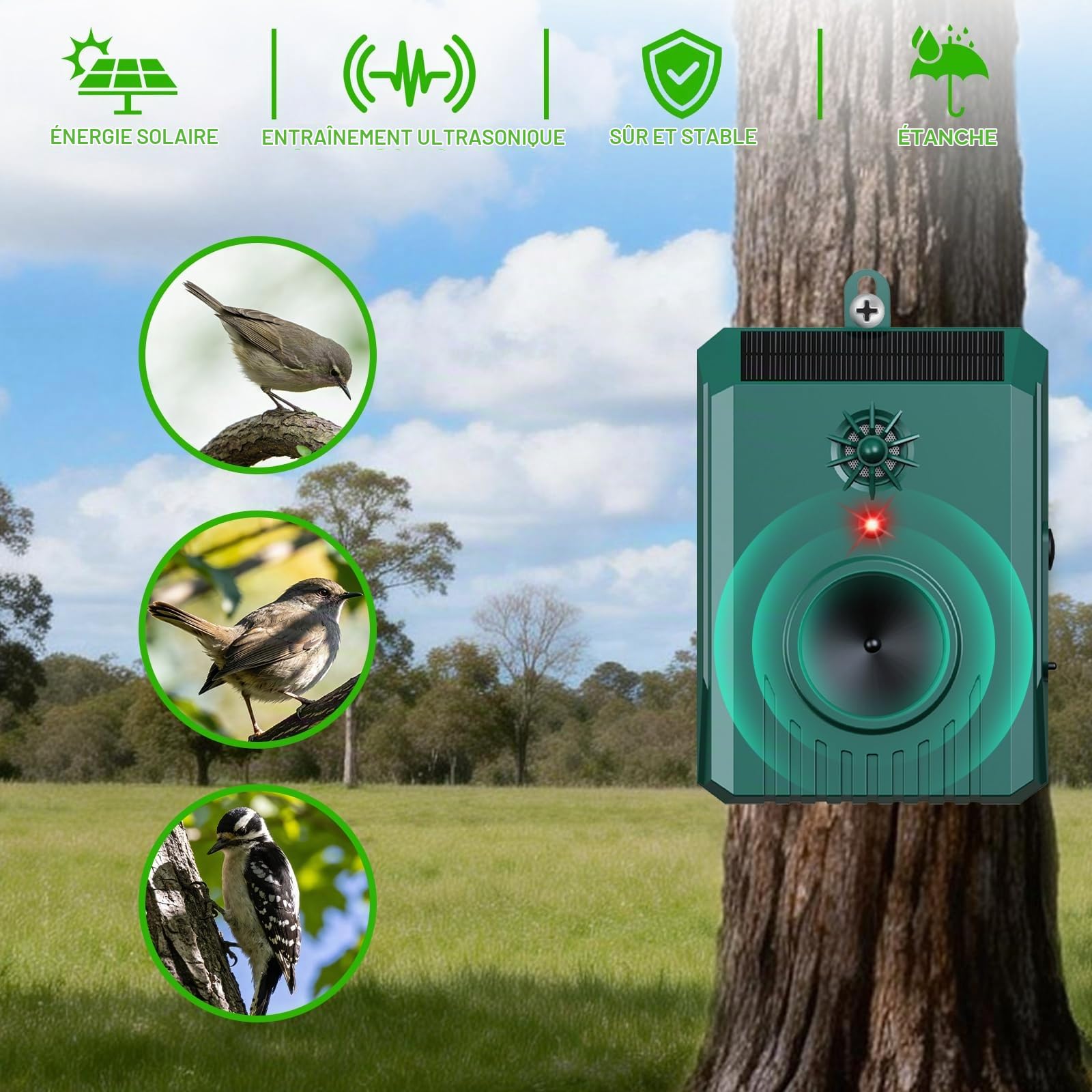 Répulsif solaire à ultrasons pour oiseaux extérieur