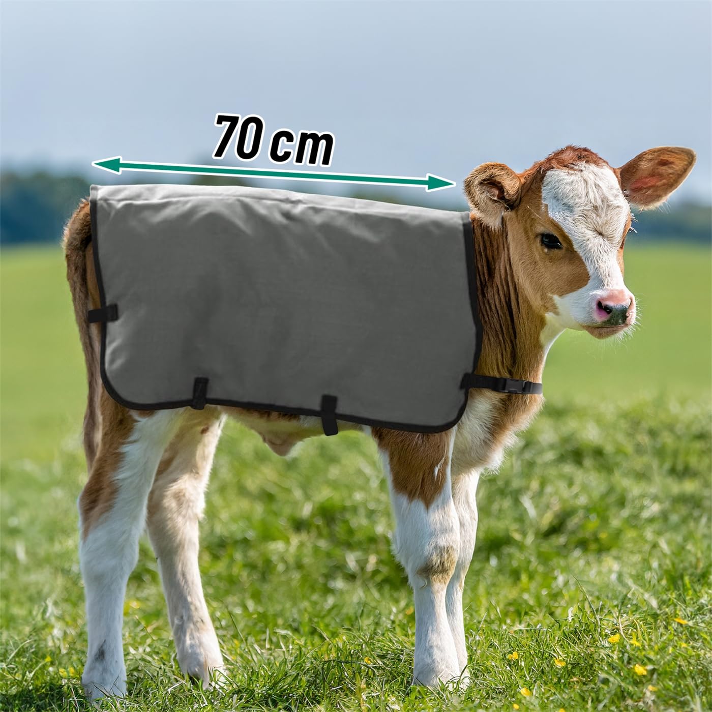 Göbel Kälberdecke 70cm, grau Thermodecke für Junge Kälber als Kälteschutz