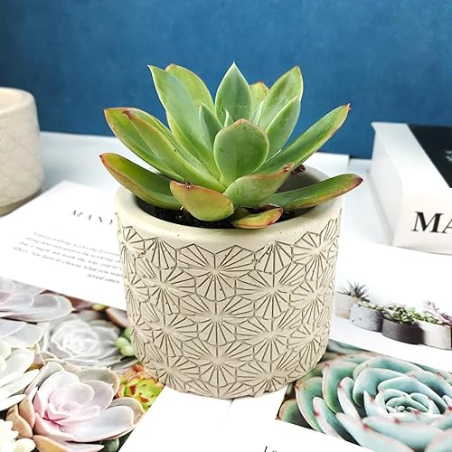 Miniatura 7 de Molde de resina para macetas de bricolaje, molde de planta cilíndrica grande, moldes de silicona para plantas en maceta 3D para fundición de