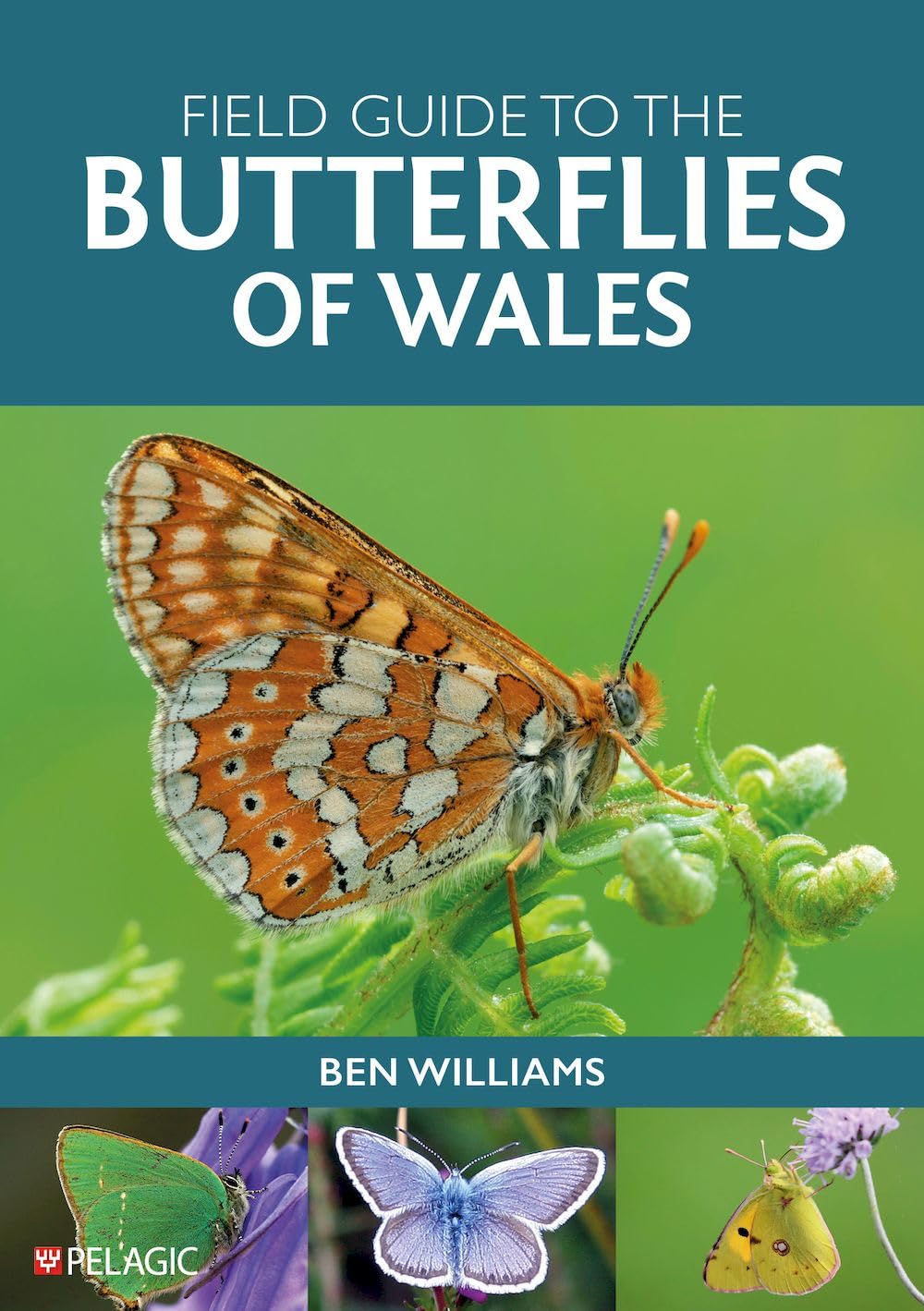 Field Guide to the Butterflies of Wales (Pelagic Identification Guides)