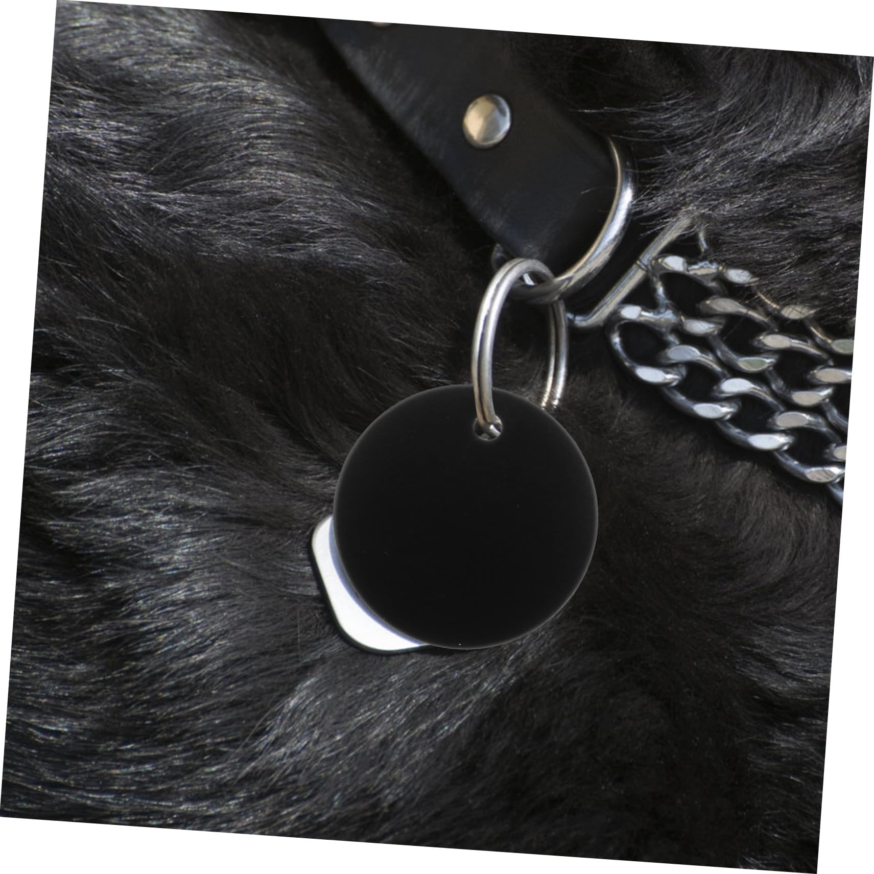 TEHAUX 250pezzi Targhette Identificative Alluminio Per Animali Domestici Medagliette Rotonde Fatte Per Incisione Accessori Personalizzabili Per Cuccioli e Cani Colore Nero