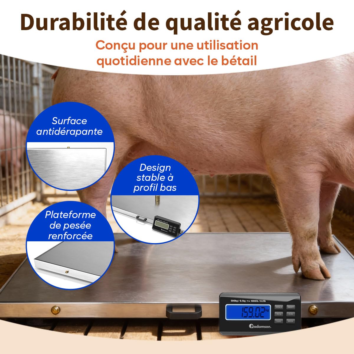 Adamson Balance Animaux 500 kg – Balance Professionnelle Électronique pour Chiens, Chats et Élevage – avec Fonctions Tare, Hold, PCS idéale aussi pour Colis – Alimentation Secteur ou Piles