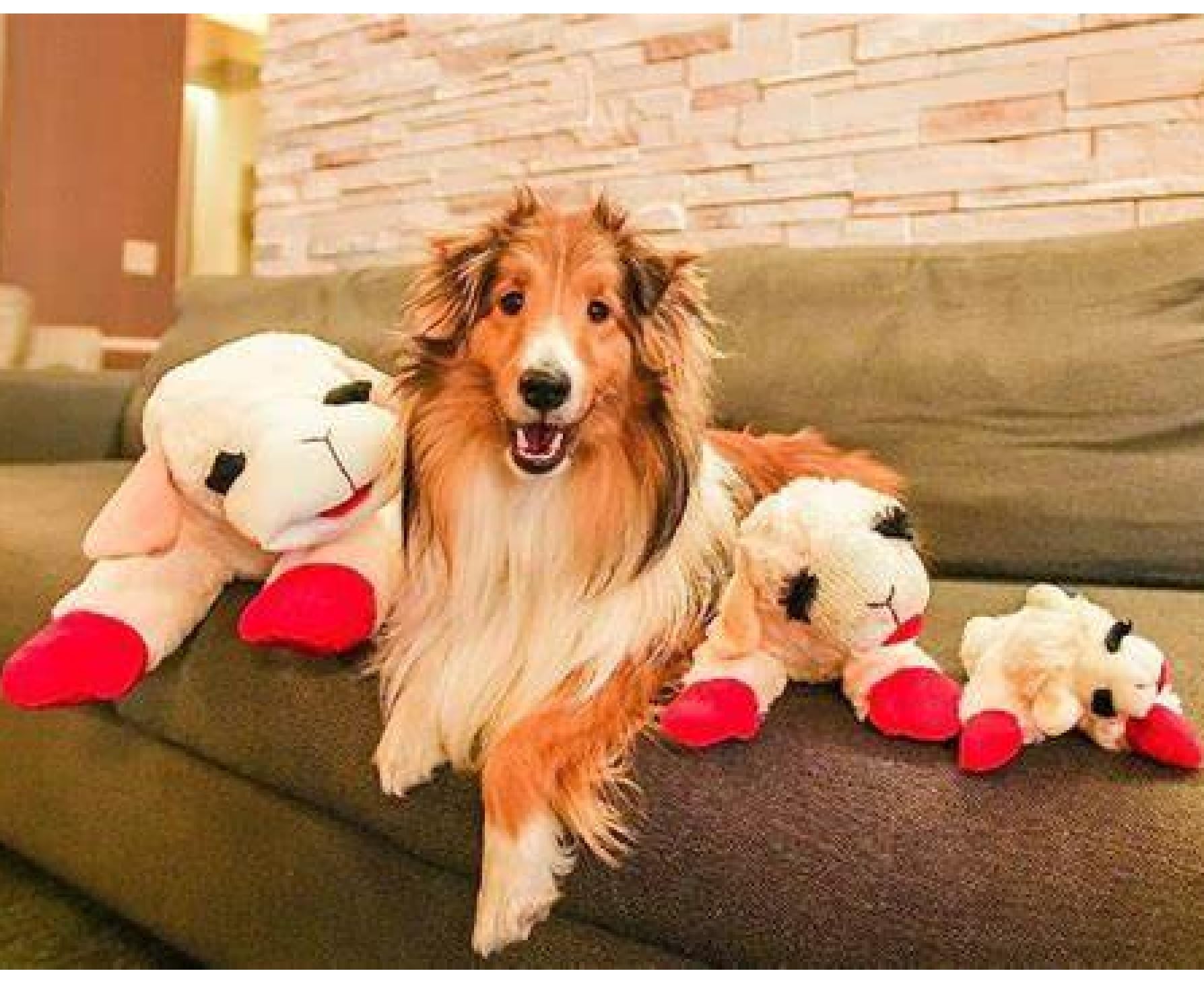 Lamb Chop Classic TV Puppet Character Dog Toy Soft Plush Squeaker Choose Size (Jumbo - 24")