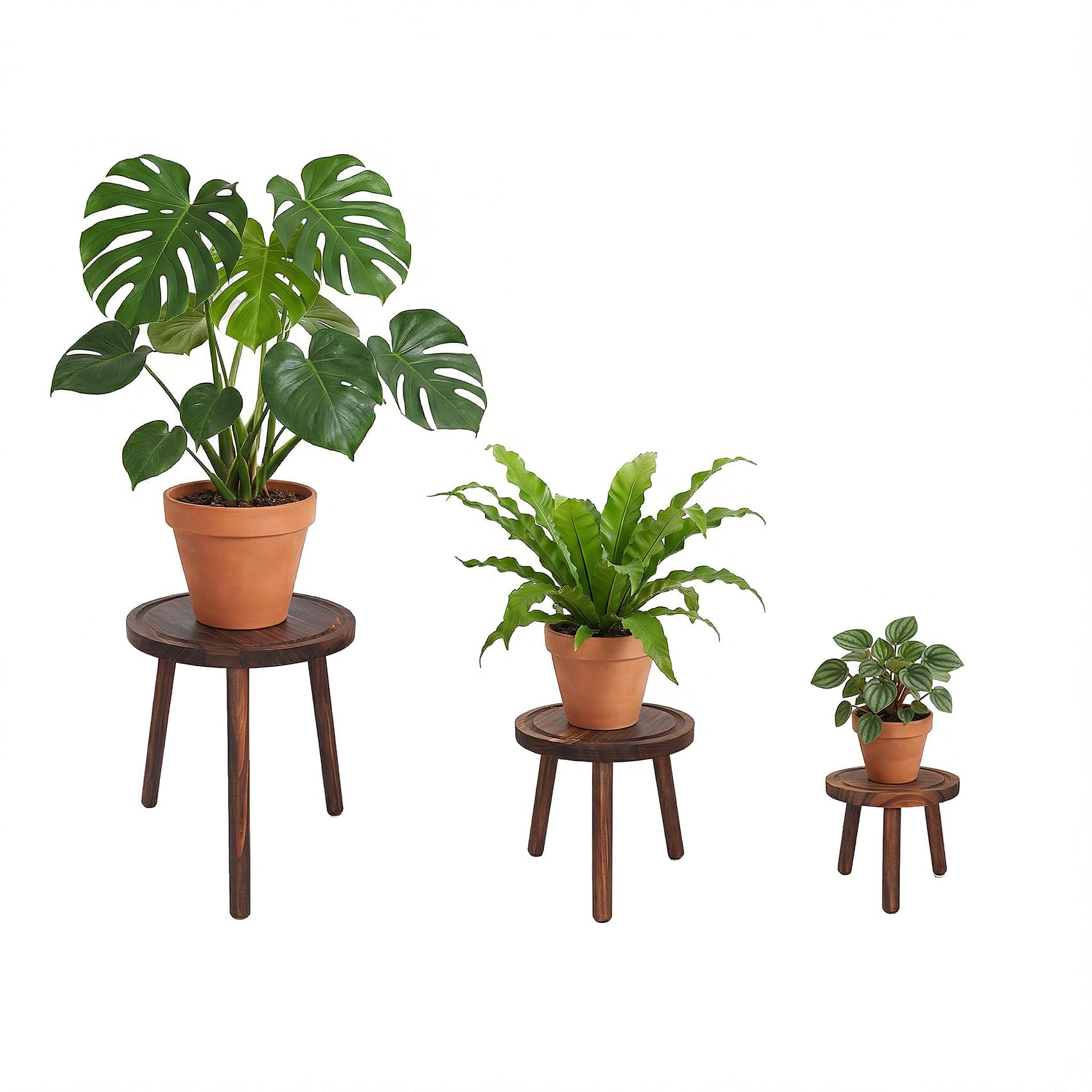 View 1 of **********MISSING PARTS*******
Amdermi 2-Pack Wood Plant Stands Indoor, Single Plant Stand for 6-12 Inch Pots, Mid-Century Modern Plant Stool, Tall Plant Stand for Large Plants for Living Room, Balcony, Office