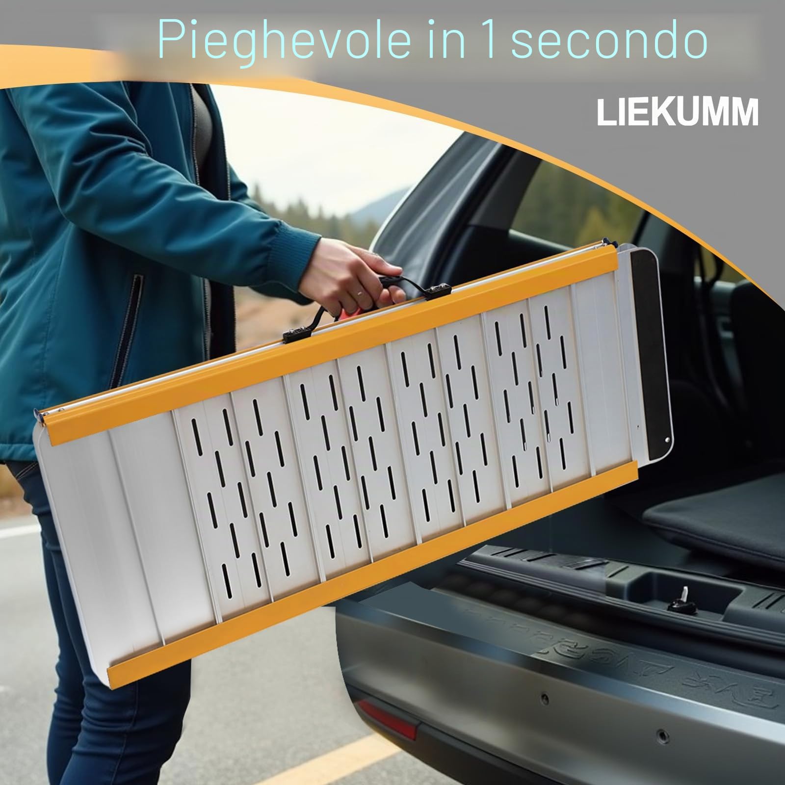 LIEKUMM - Rampa pieghevole per sedia a rotelle, per gradini, scale e porte, per diversamente abili, portata fino a 300 kg, 61 cm × 73 cm