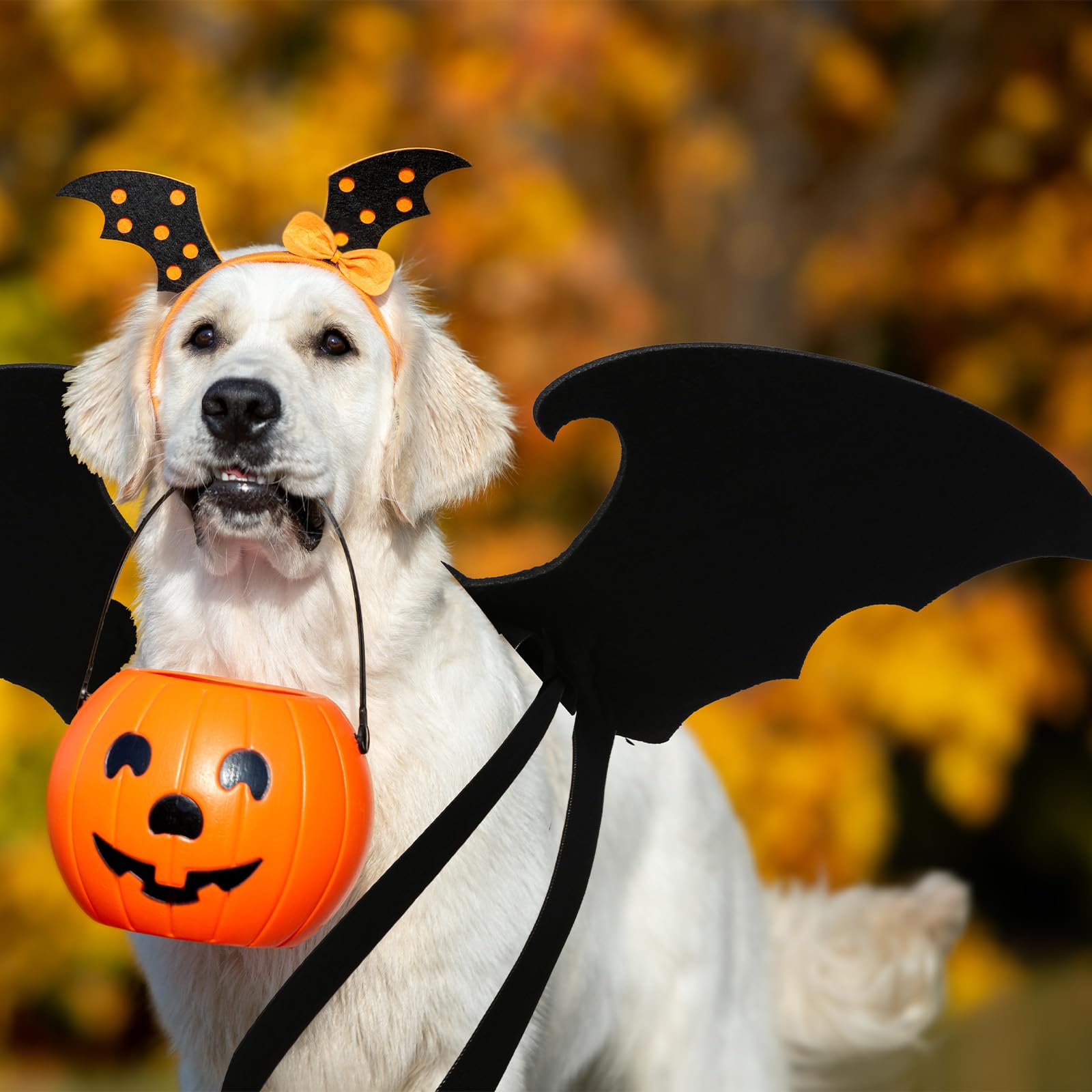 Hunde-Fledermaus-Kostüm – Halloween-Kostüm Für Haustiere, Flügel Aus Filz, Verstellbar, Größe M