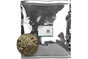 Frontier Co-Op Rubbed Sage