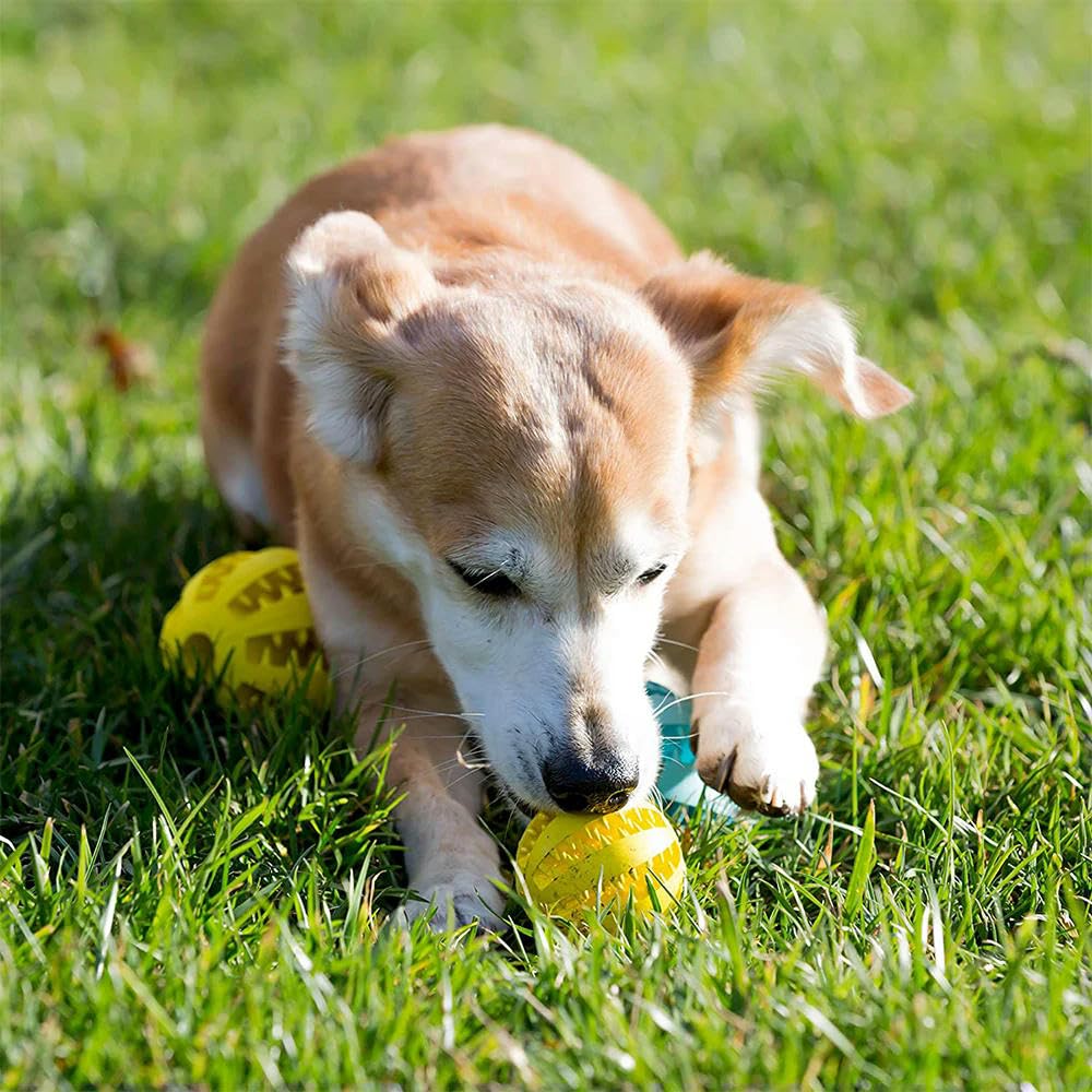 Juguetes para Cachorros, Pelota de Goma for Perros, Juguete for Cachorros, Grandes, Limpieza Dientes, Snack, 2 Unidades, Rojo, 6 cm(Green 5cm)