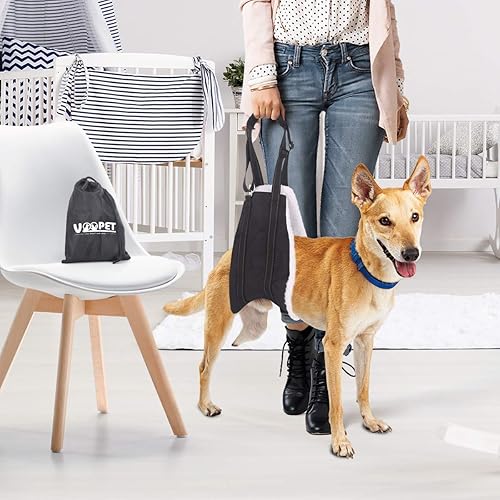 Miniatura 6 de VOOPET Arnés para perro, correas ajustables, mediano, negro, arnés de rehabilitación para perros pequeños, medianos y grandes, soporte para patas