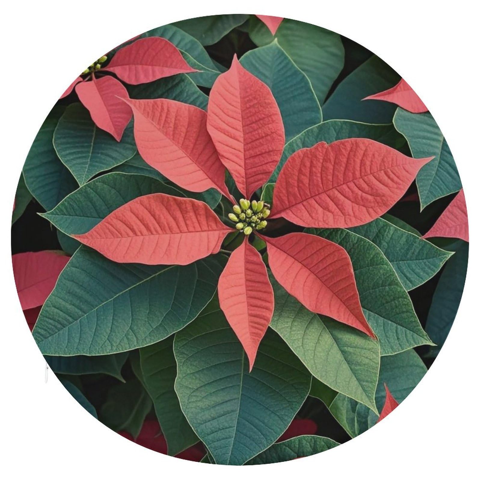 Coussin de chaise rond respirant et super confortable Poinsettia