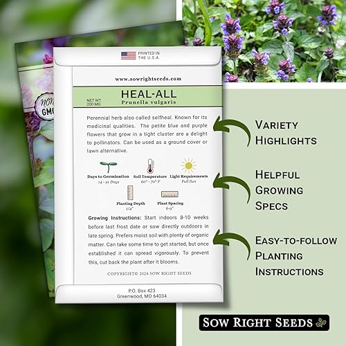 Miniatura 2 de Sow Right Seeds - Sanar todas las semillas para plantar - Prunella vulgaris autocurable - Hierba medicinal tradicional sin OMG - Cultiva tu propio
