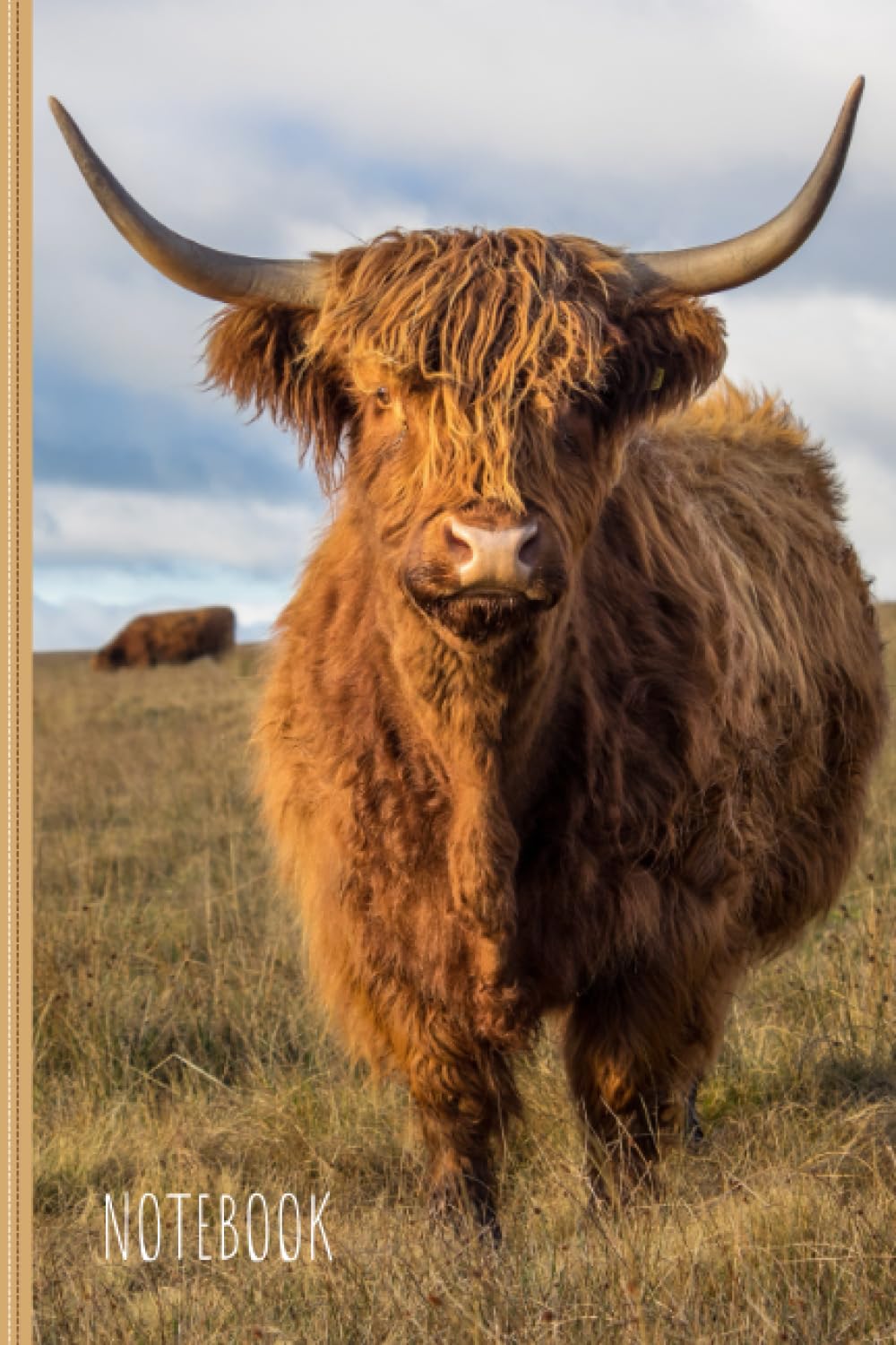 Highland Cow Notebook: Cute Highland Cow Lined Journal, The Perfect Highland Cow Gift for Anyone who Loves Cows and Highland Cattle.
