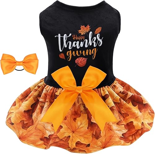 Miniatura 74 de CuteBone - Vestido de terciopelo para perros pequeños, para cachorros, ropa rosa para perros CVA02M-D