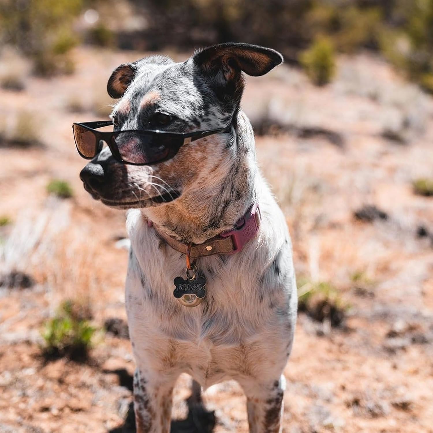 Optic Nerve Backwoods Polarized Sport Sunglasses | Lightweight Sportwrap Frame, UV Protection, Anti-Glare | Unisex Fit - Image 6