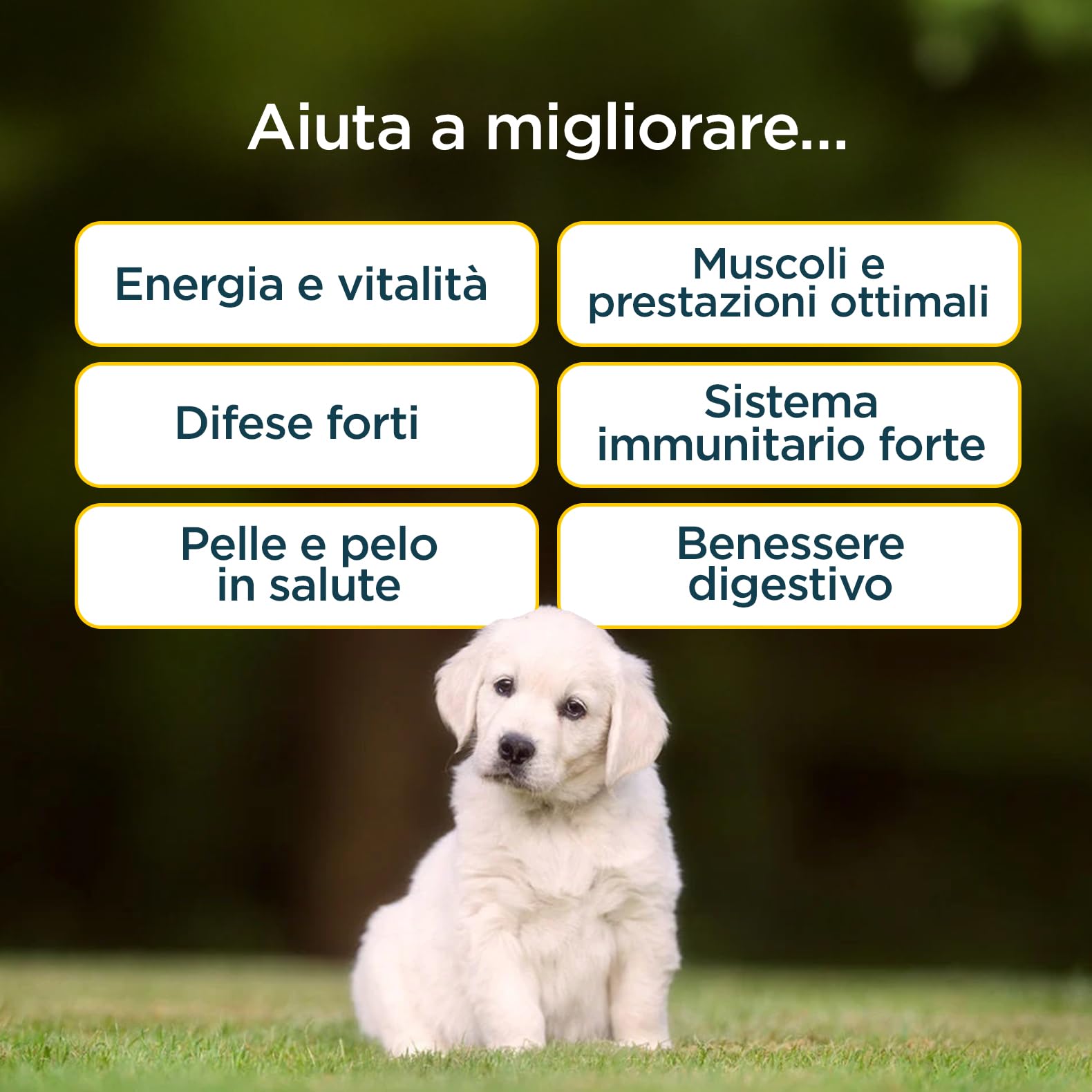 Multivitaminico per Cani 25 in 1 | Integratore Naturale Completo con Vitamine e Minerali | Supporto Immunitario, Energia, Pelo, Articolazioni |100 Bocconcini Gusto Manzo