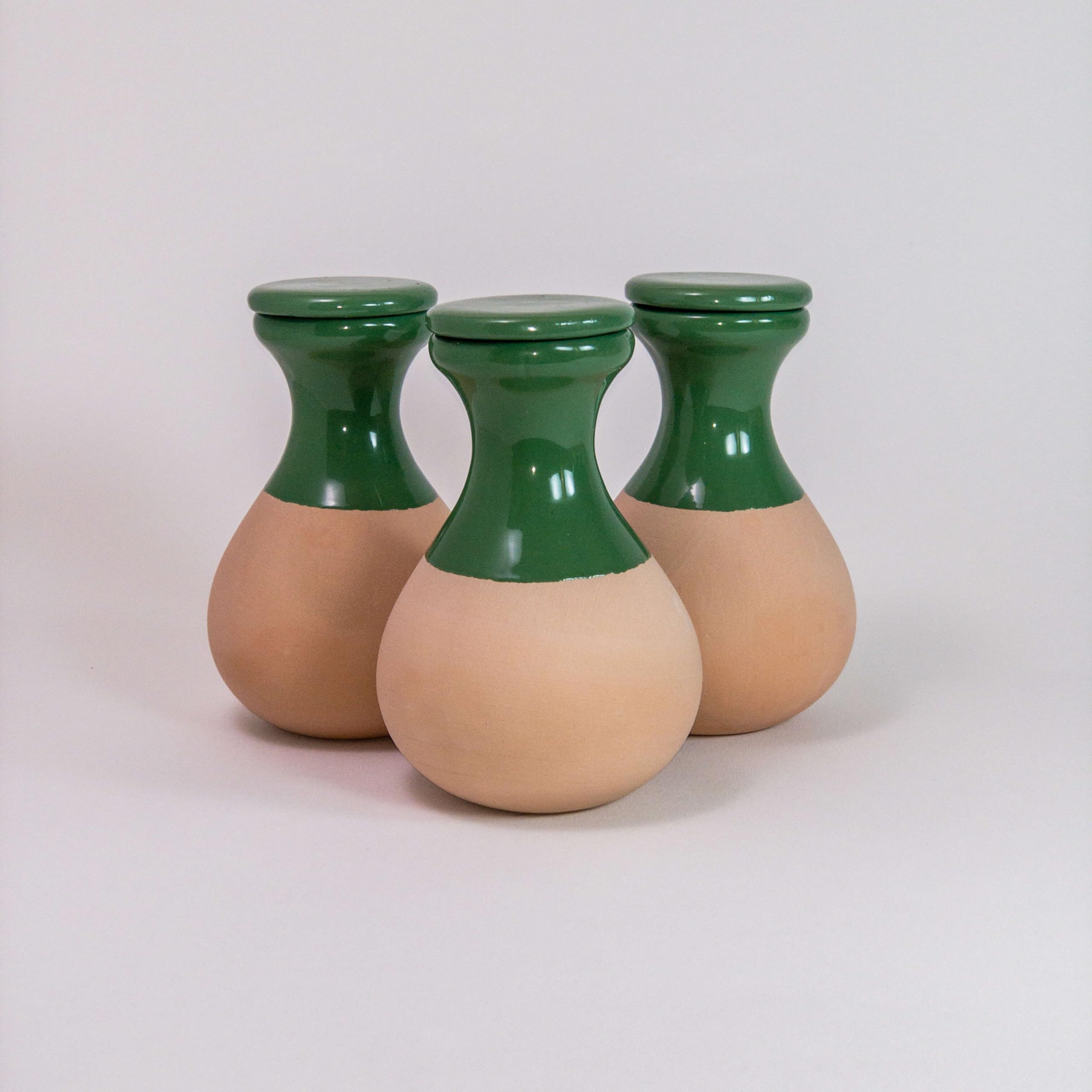 3 oyas à enterrer de 330 ML en Couleur avec Leur Couvercle - ollas pour arroser Tous Type de Plante d'intérieur et extérieur (Vert)
