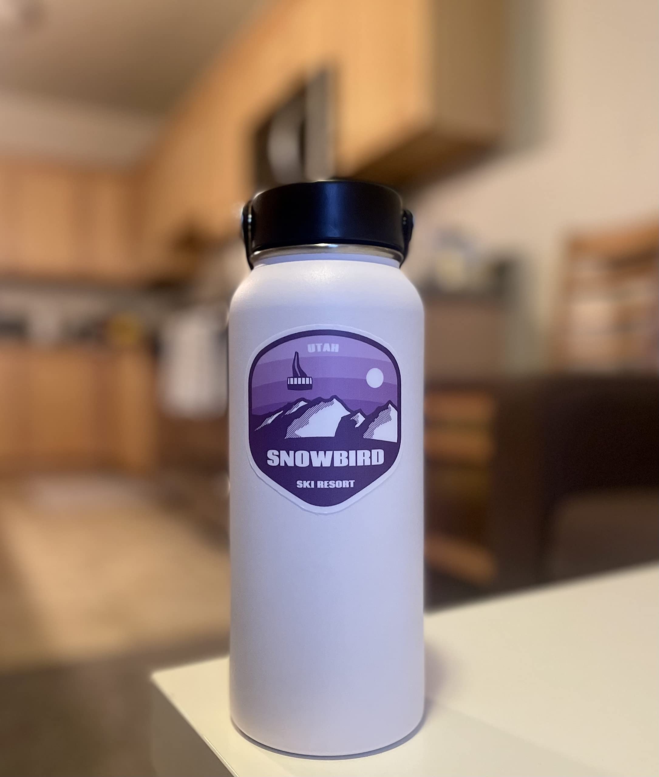 snowbird ski resort Sticker for Sale by AsKartongs | Redbubble snowbird ski resort Sticker for Sale by AsKartongs | Redbubble