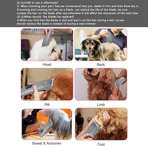 Miniatura 7 de 5FC Blade - Cuchillas de repuesto para cortar perros compatibles con Andis Dog Clippers, hoja de cerámica desmontable y hoja de acero inoxidable,