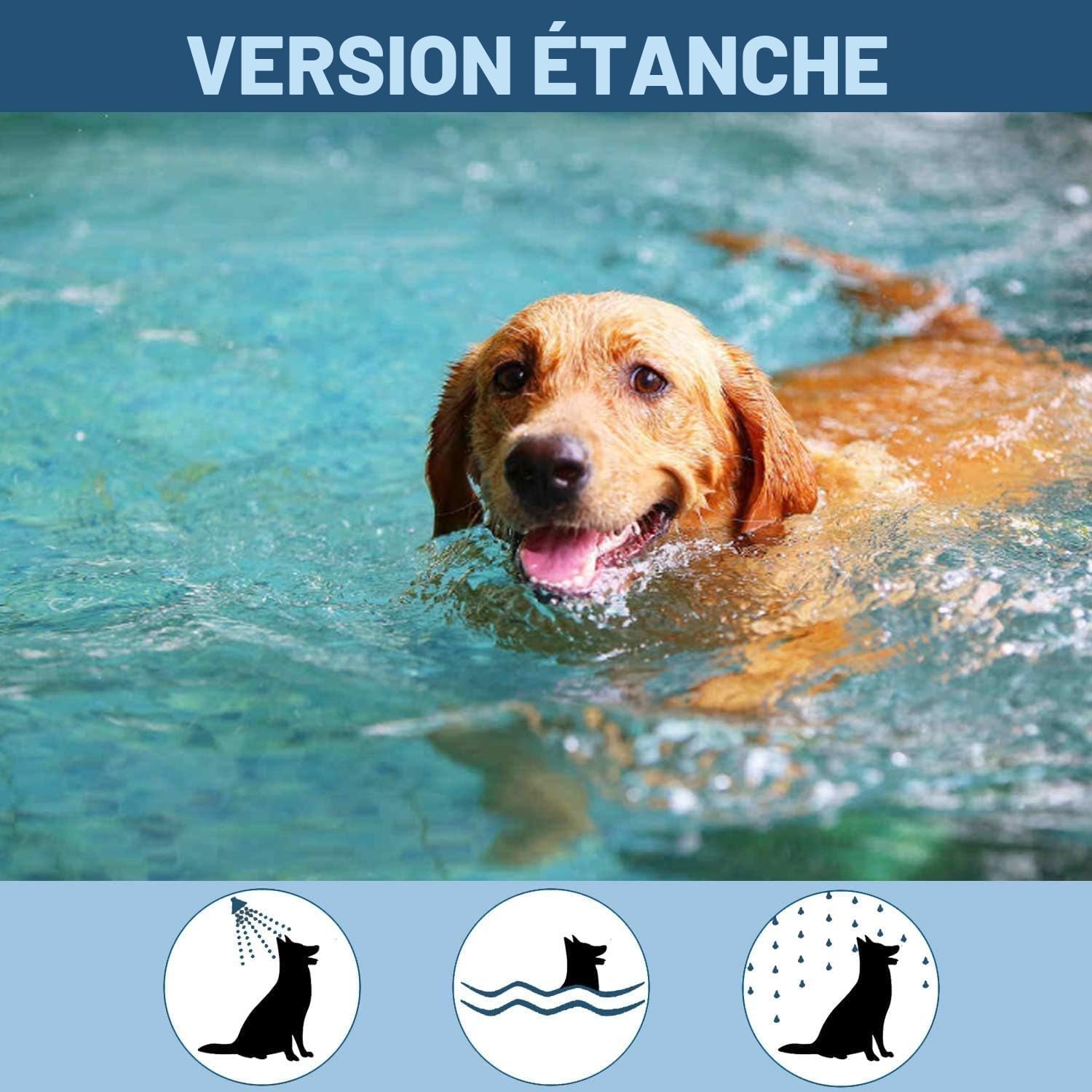 Lot de 2 colliers antiparasitaires pour chiens 8 mois de protection 63 cm collier anti-puces chien antiparasitaire chien chat réglable étanche