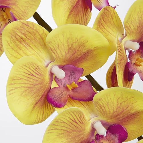 Vista 56 de DILATATA Orquídea Phalaenopsis floreciente de 31.5 pulgadas de alto, orquídea artificial de tacto real con 9 flores grandes, orquídeas falsas