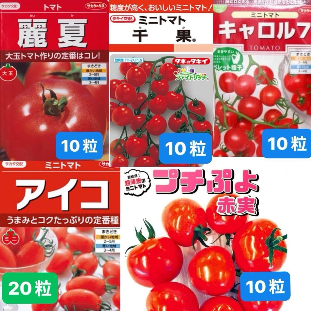 Amazon.co.jp: トマトの種 麗夏 千果 アイコ プチぷよ キャロル7の5種