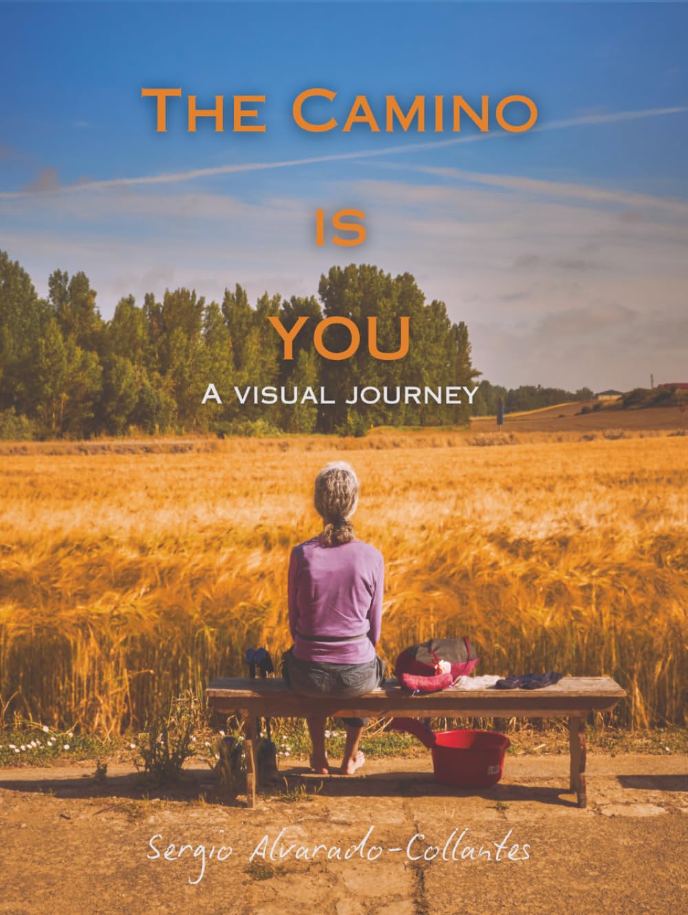 The Camino is you: A Visual Journey