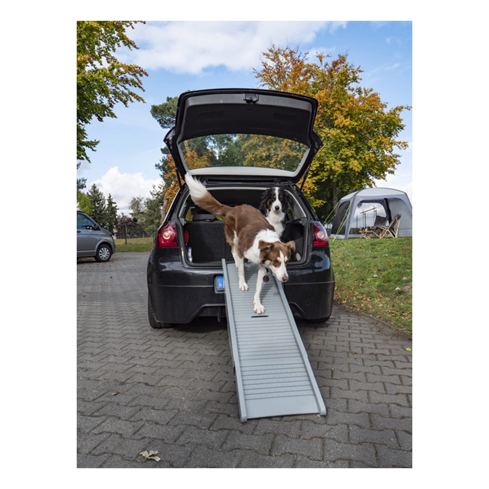 Rampa per cani Emma, portata fino a 40 kg, per auto, autobus, furgoni e campeggio