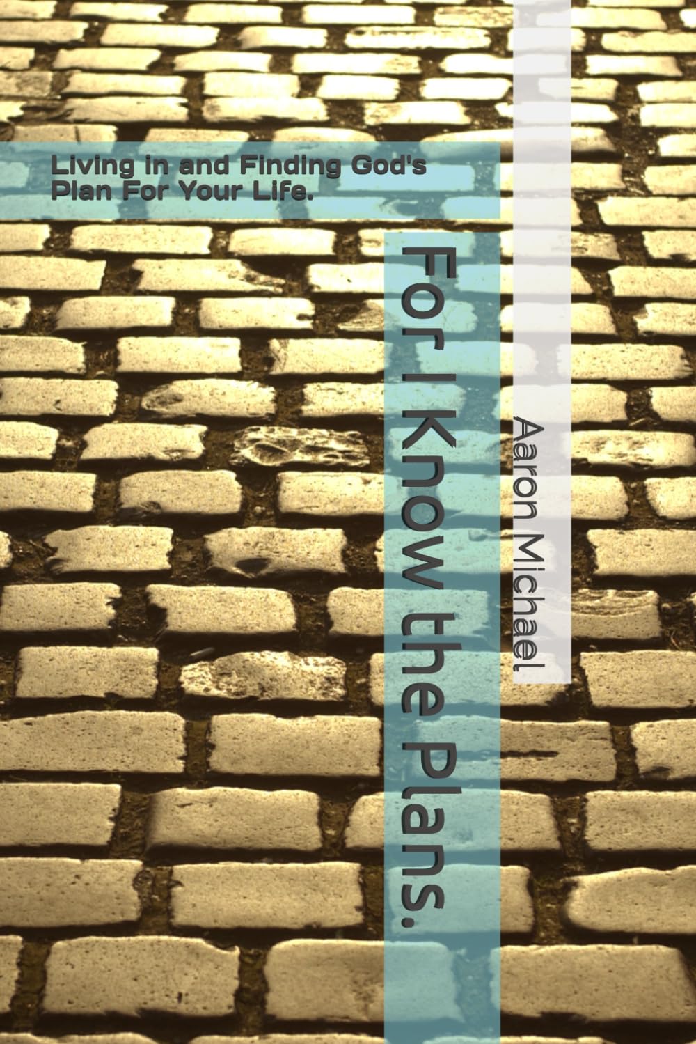 For I Know the Plans.: Living in, and Finding God's Plan For Your Life.