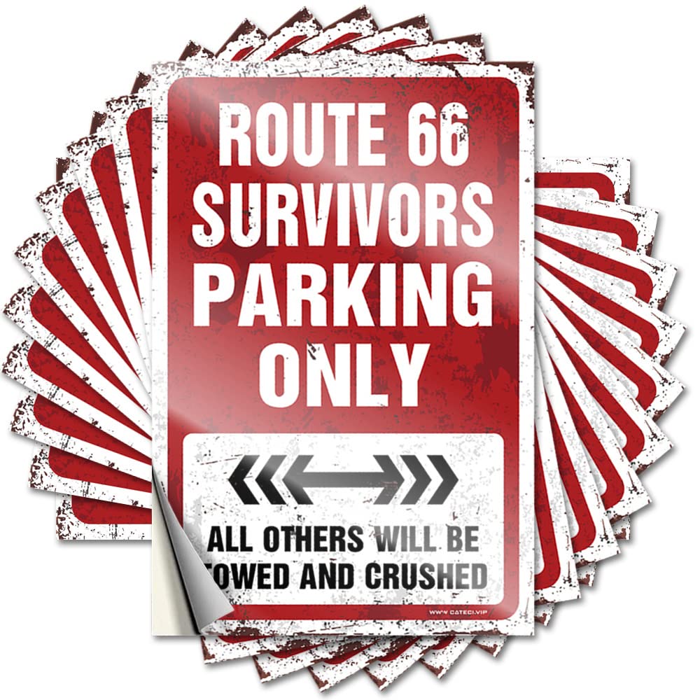 Fzfn Girls Colour Pool Stuff Tumbler Sticker | Route 66 Survivors Parking Only Tiny Durable Vinyl Sticker Easy Apply For (8X12cm)