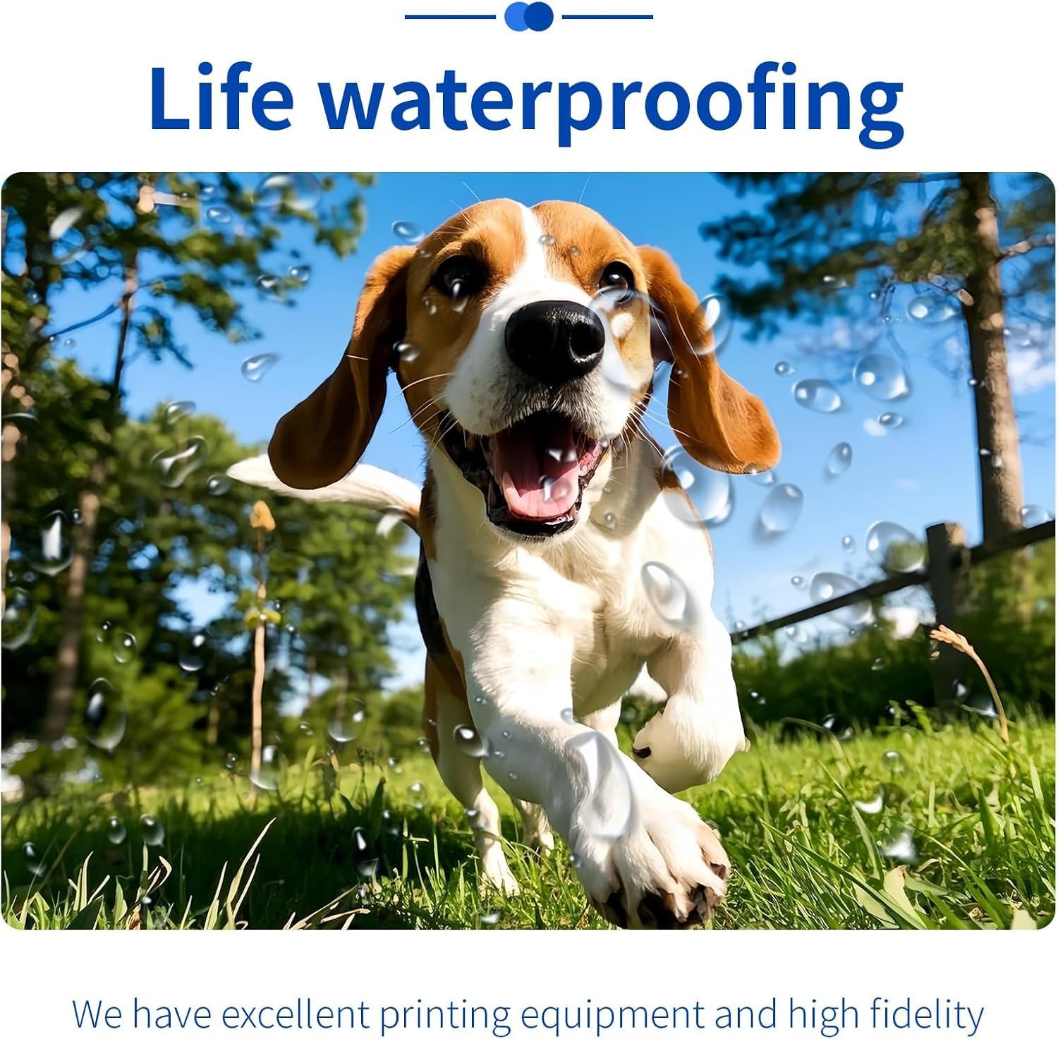 ZHADDLI Custom Photo Prints-water resistant(10pcs, 8" Lx10 W) - Photo Printing Services -Standard Size - Glossy - UNFRAMED