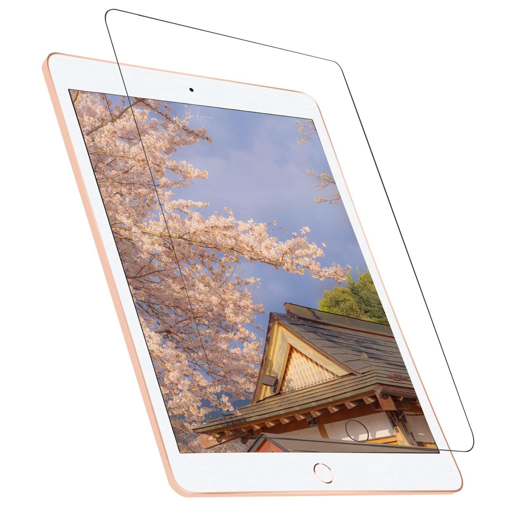 Amazon.co.jp: iPad mini 5 (2019 第5世代) 用 フィルム iPad mini 4