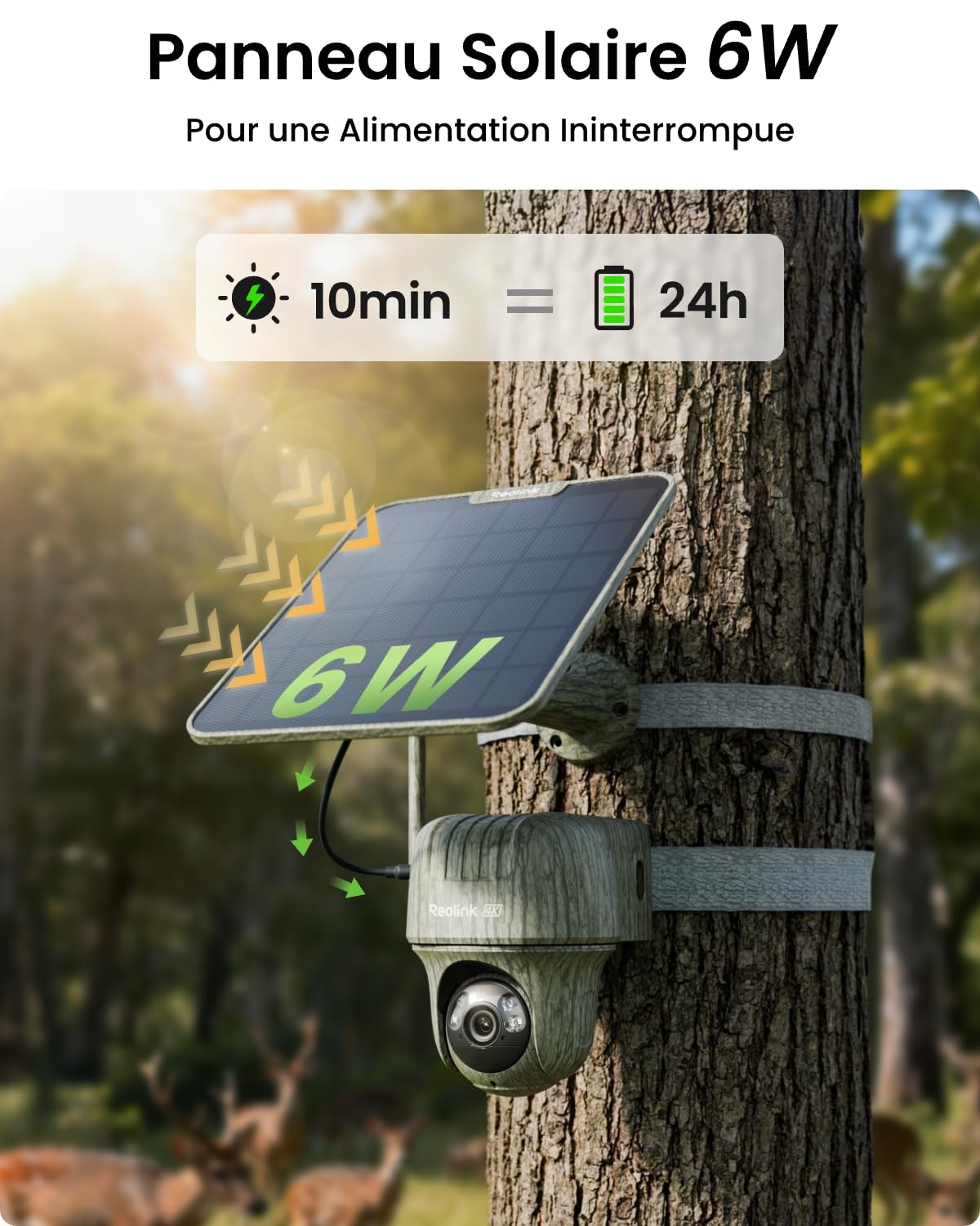 Reolink 4K 4G LTE Camera Exterieur avec Carte microSD 32 Go, Go Ranger PT