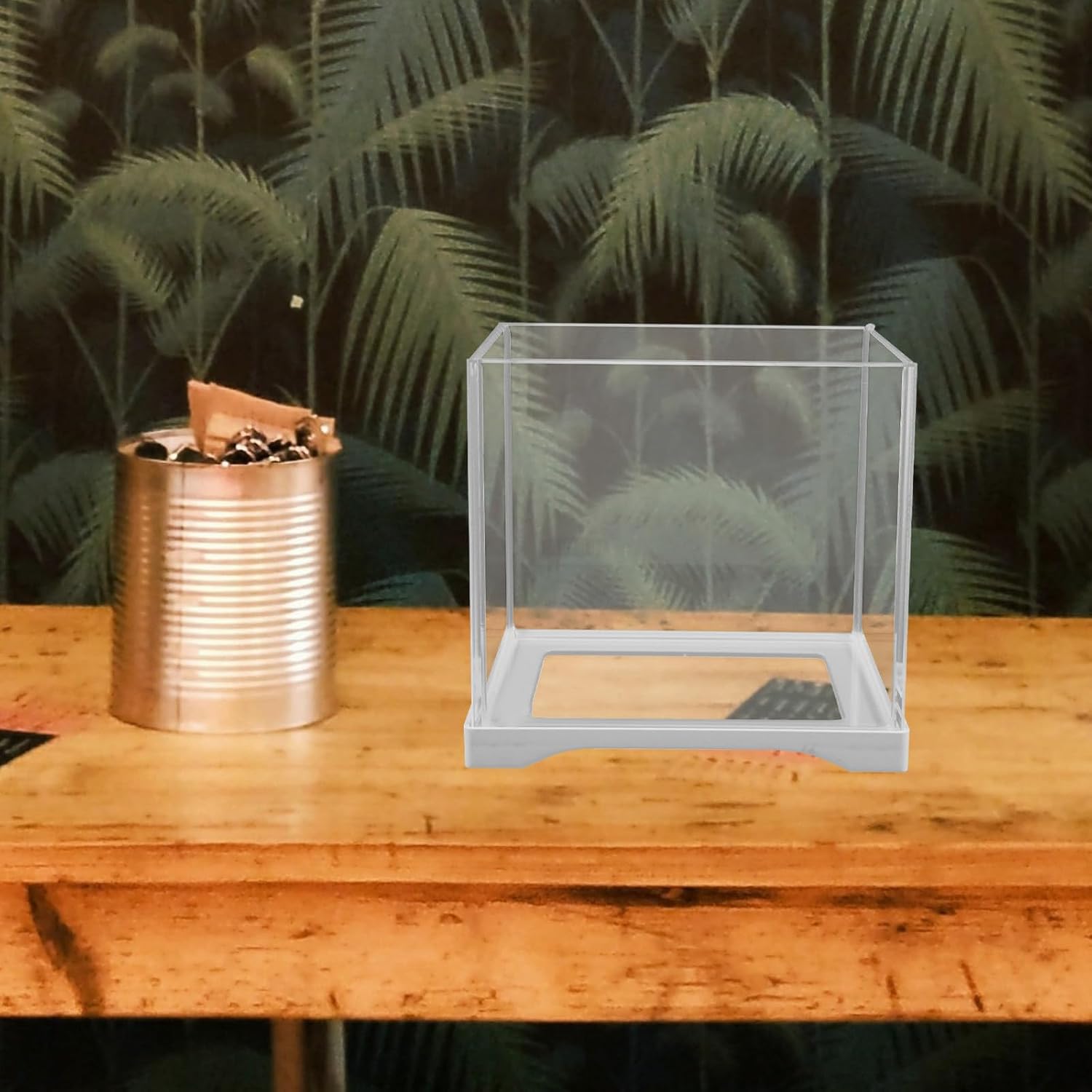 Small Cube Glass Fish Tank with Versatile Functionality and Lightweight Design for Betta and Angelfish for Office or Dorm Desktop Aquarium Bowl