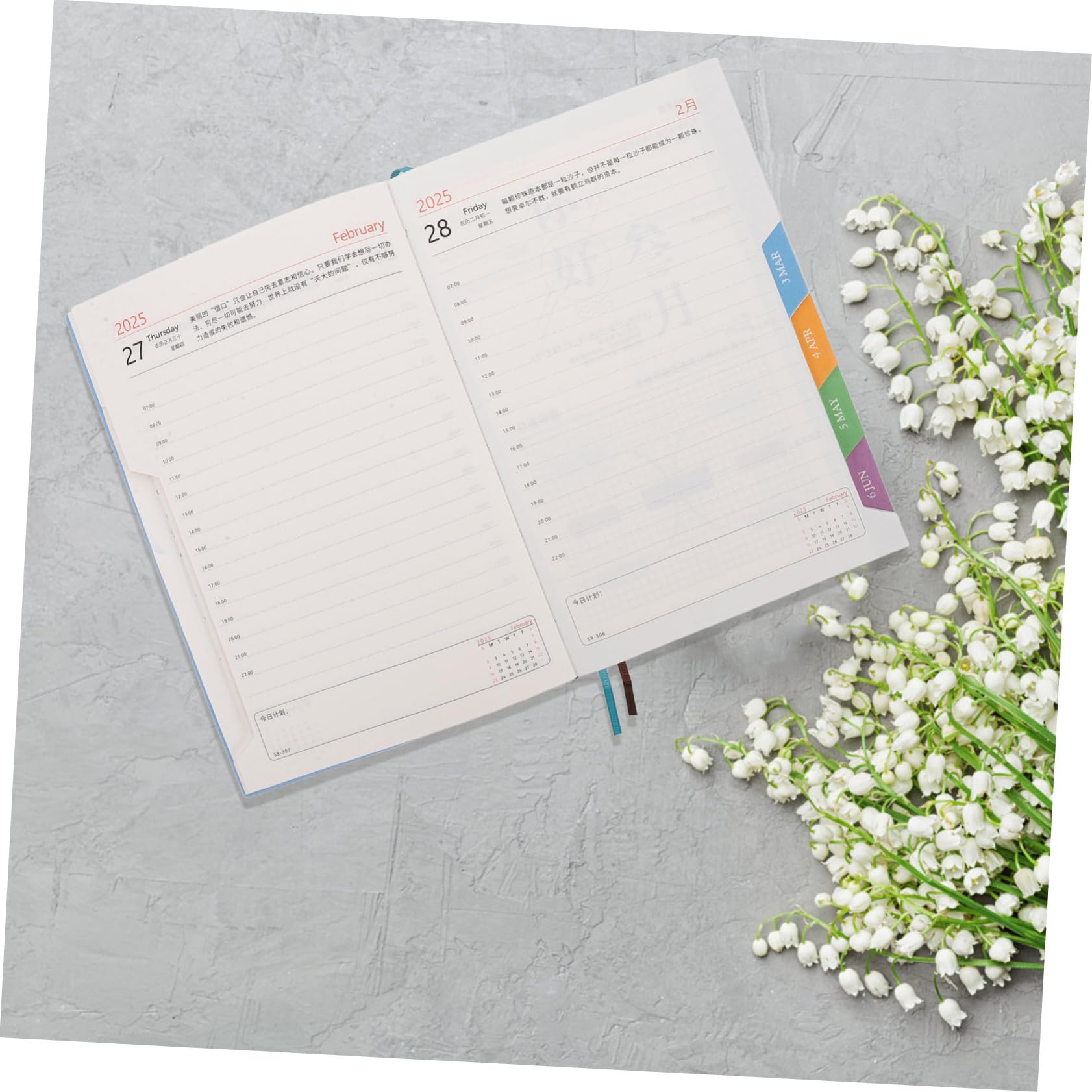 Planner Giornaliero A5 3 Pezzi in Pu, Diario Datato per Scuola e Ufficio | Back To School Party, Calendario Mensile con Schede, Quaderno Spesso per Gestione del Obiettivi
