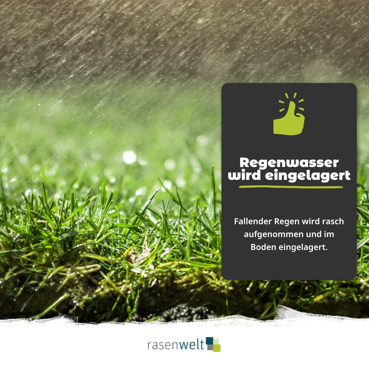 ARENA Rasendünger mit 3D Wasserspeicher Wetting Agent 20kg I gesunder Rasen trotz Hitze und Trockenheit I HydroMaster+