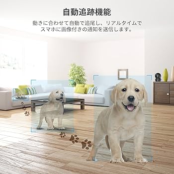 ペットカメラ Amazon.co.jp: ペットカメラ 見守りカメラ【次世代デザイン