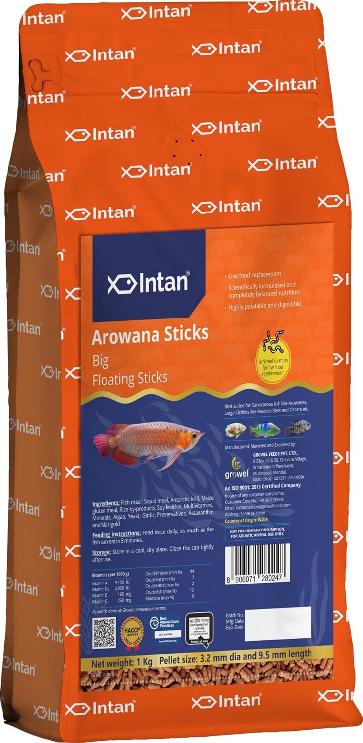 Intan Aquatic Arowana Sticks Fish Food | Big Floating Stick for Arowana Fish | Large Pack 1 kg, Pellet Size 3.5 mm Dia and 9.5 mm Length, all life stages