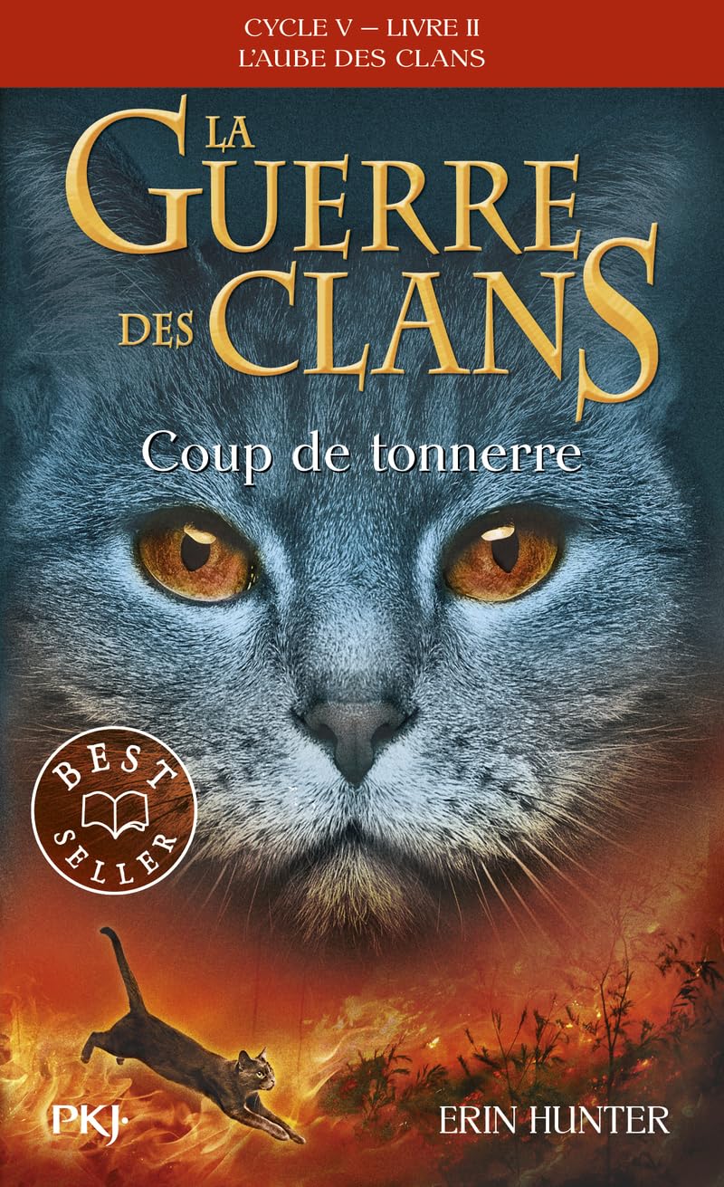 La guerre des clans - Cycle V : L'aube des clans - Tome 2 Coup de tonnerre (2)