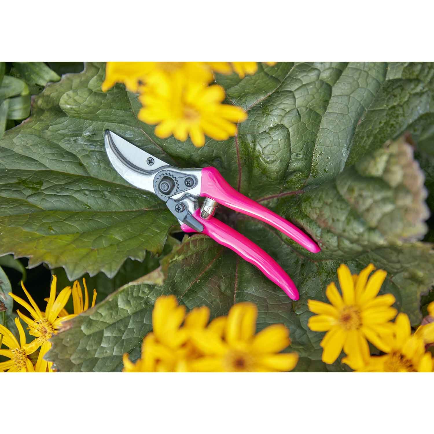 Burgon & Ball FloraBrite RHS Bypass-Gartenschere, 21 cm Länge, Rosa