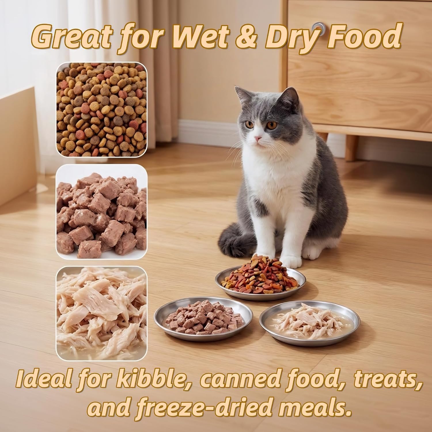 6 Pack Stainless Steel Cat Bowls, 6.7" Shallow Cat Dish for Whisker Fatigue Relief, Flat Pet Feeding Plates for Wet Food and Canned Meat, Ideal for Multi-Cat Household Kittens & Small Dogs(FB-03) image 3