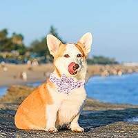 Vista 92 de Lionheart glory Collar de perro con bandera estadounidense, collar de flores para perro del 4 de julio, resistente y ajustable, collar patriótico