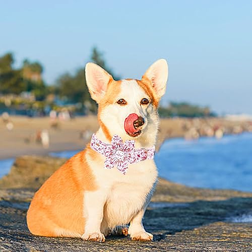 Miniatura 92 de Lionheart glory Collar de perro con bandera estadounidense, collar de flores para perro del 4 de julio, resistente y ajustable, collar patriótico