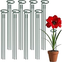 36 Inch Plant Sticks Support Tall Three Sizes 12 or 24 or 36 Inch, 8 Pcs 4.5mm Adjustable Outdoor and Indoor Plant Support, Garden Stakes for Plants Flowers Rose Tomatoes Peony Lily Rose Amaryllis